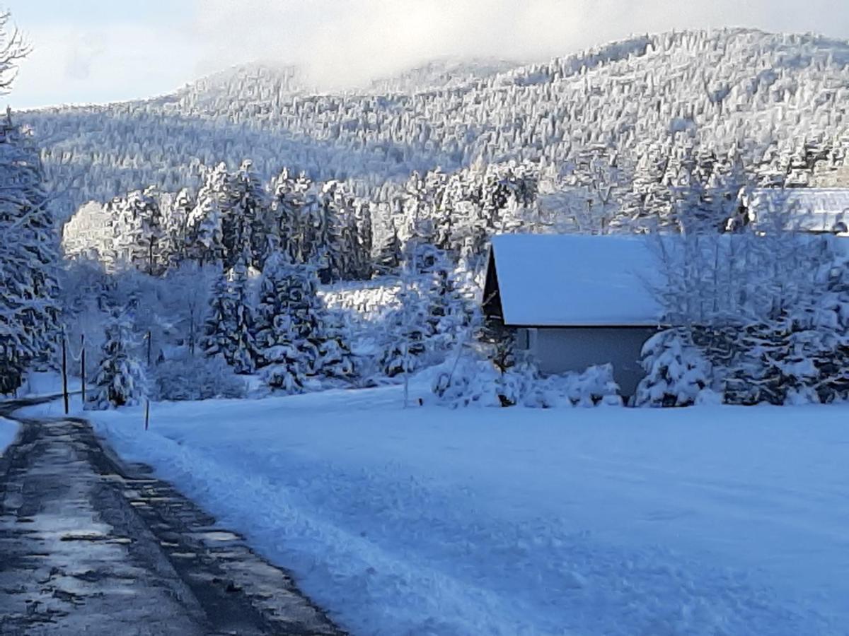 Chalet Waldstadl, Andrea'S Woidhaisl Arnbruck Eksteriør billede
