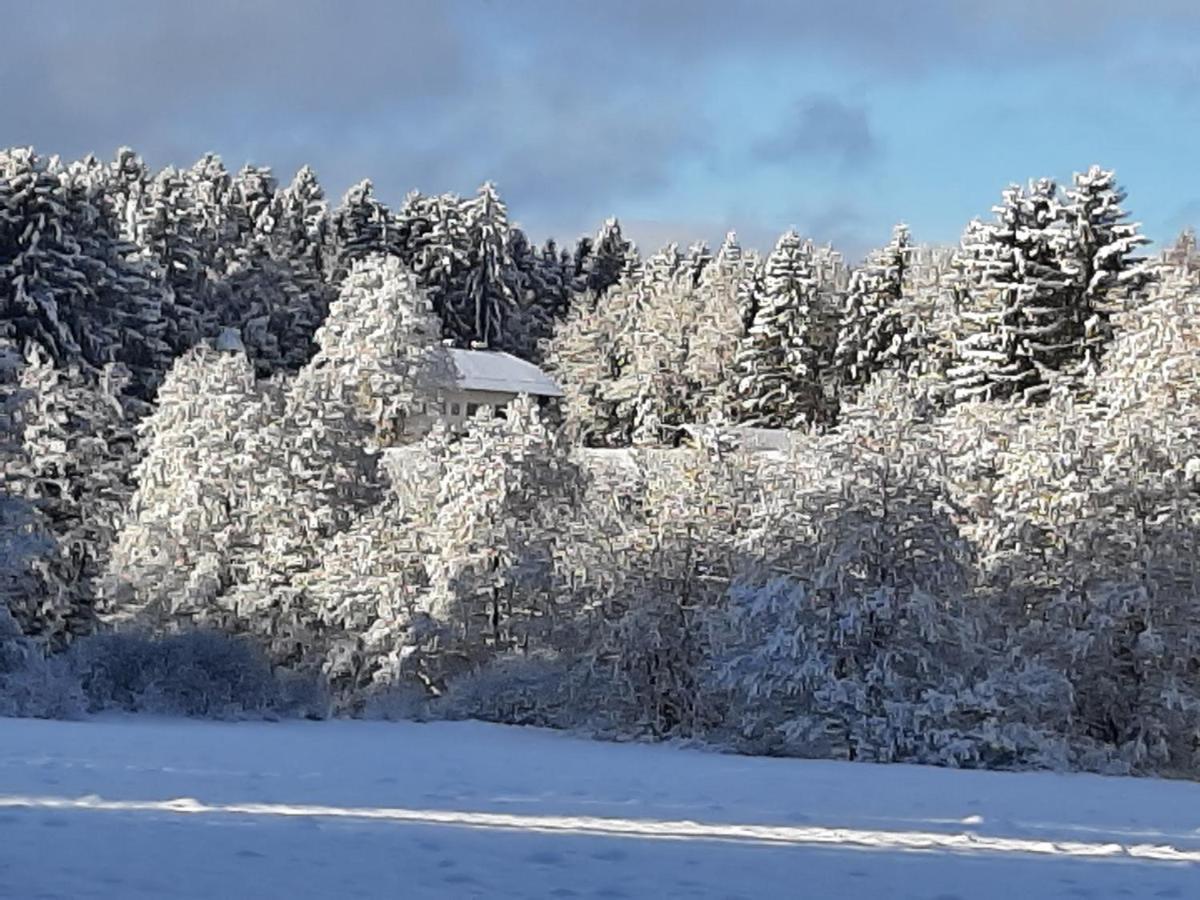Chalet Waldstadl, Andrea'S Woidhaisl Arnbruck Eksteriør billede