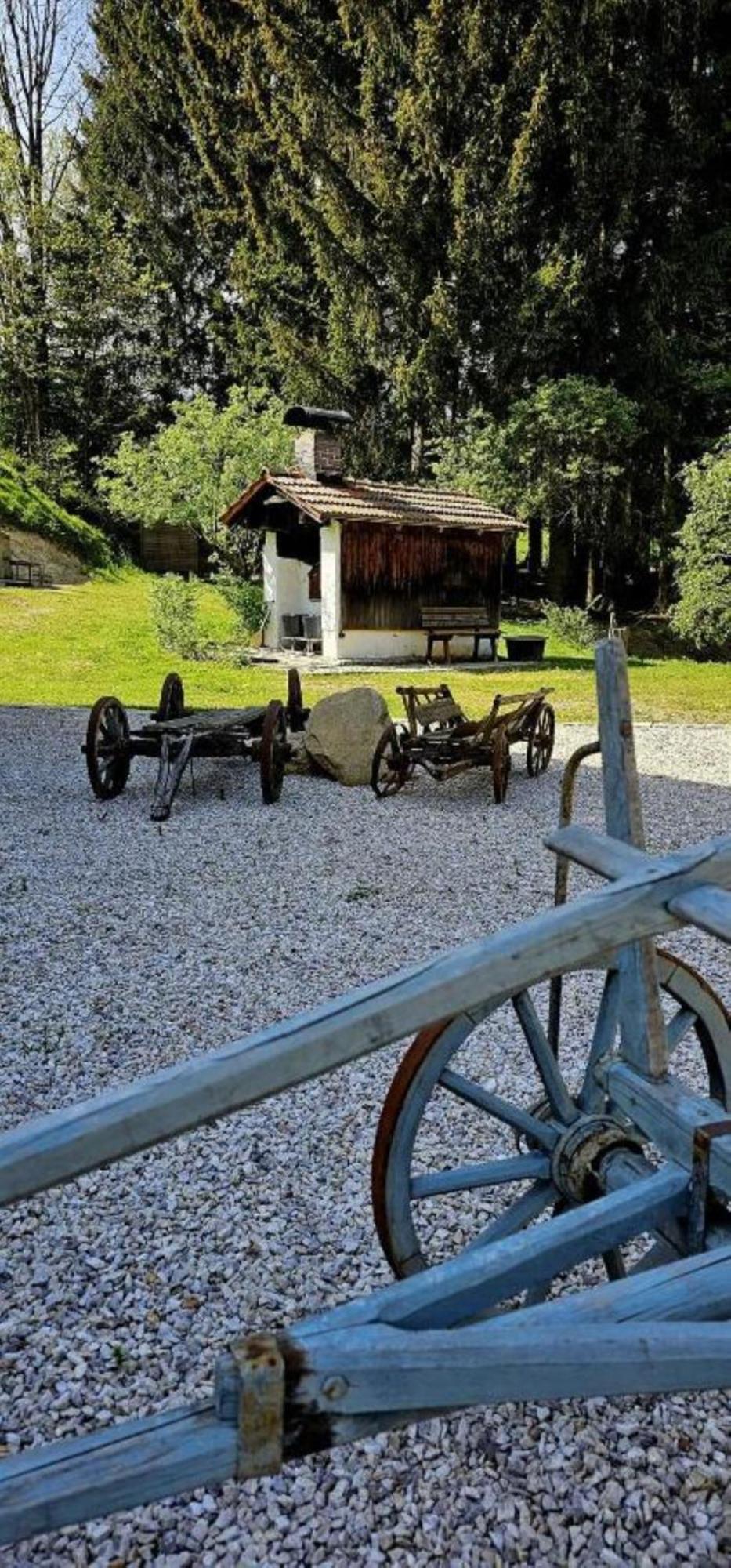 Chalet Waldstadl, Andrea'S Woidhaisl Arnbruck Eksteriør billede